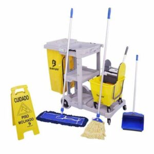 Kit de Limpeza Profissional